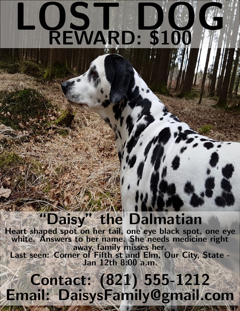 Lost dog poster